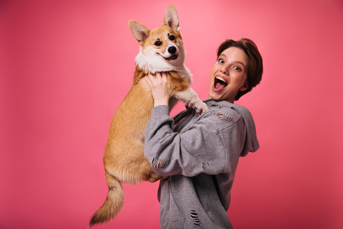 Ingredients to Avoid in Dog Food & Treats (The Ultimate "Food vs. Fraud" Dictionary)