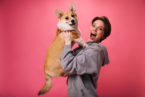 Ingredients to Avoid in Dog Food & Treats (The Ultimate 