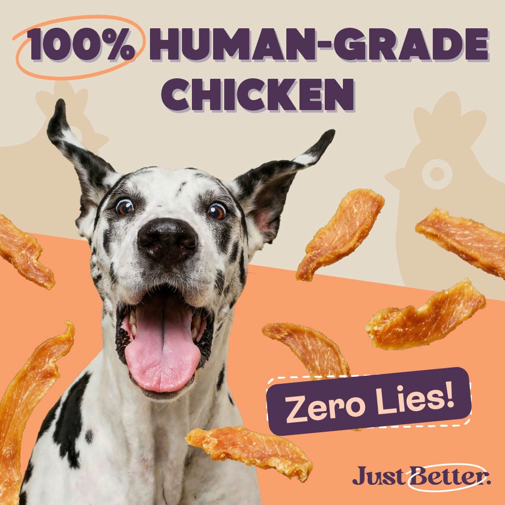 Chicken Jerky for Dogs | Human-Grade, Grain-Free