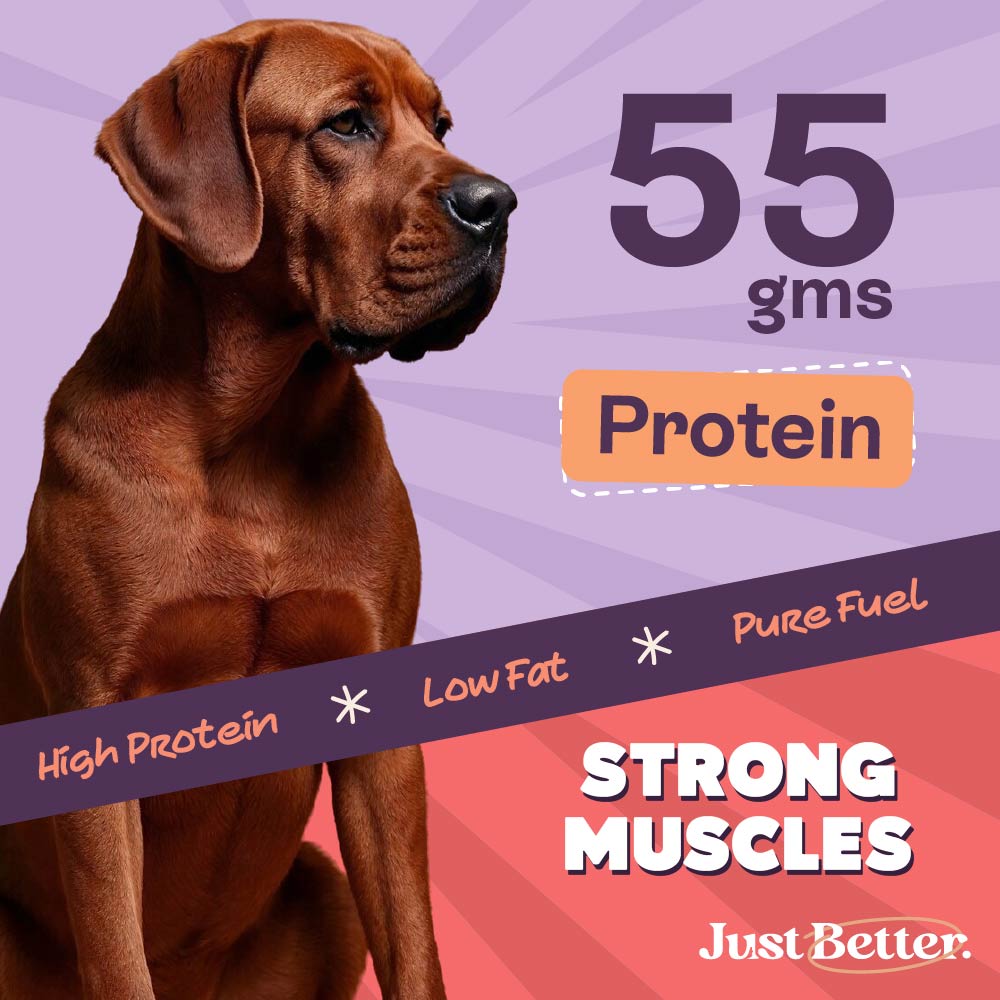 Chicken Jerky for Dogs | Human-Grade, Grain-Free