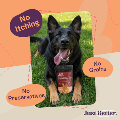 Chicken Jerky for Dogs | Human-Grade, Grain-Free
