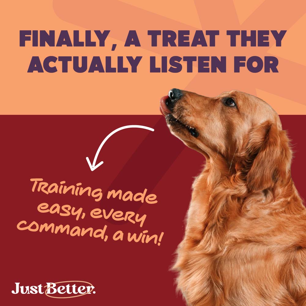 Chicken Jerky for Dogs | Human-Grade, Grain-Free