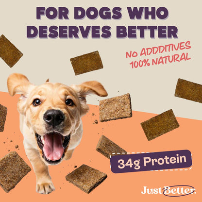 Protein treats for dogs | dog treat with superfood | Fish treat with Sardines