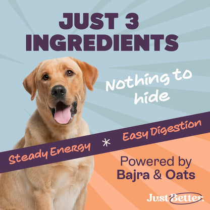 Protein treats for dogs | dog treat with superfood | Fish treat with Sardines