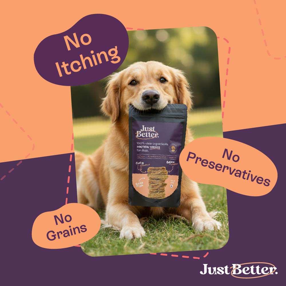 Protein treats for dogs | dog treat with superfood | Fish treat with Sardines