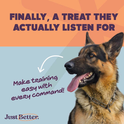Protein treats for dogs | dog treat with superfood | Fish treat with Sardines