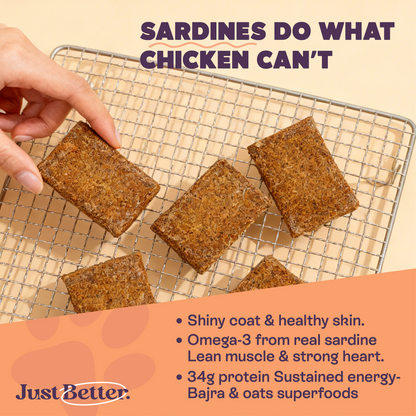Protein treats for dogs | dog treat with superfood | Fish treat with Sardines