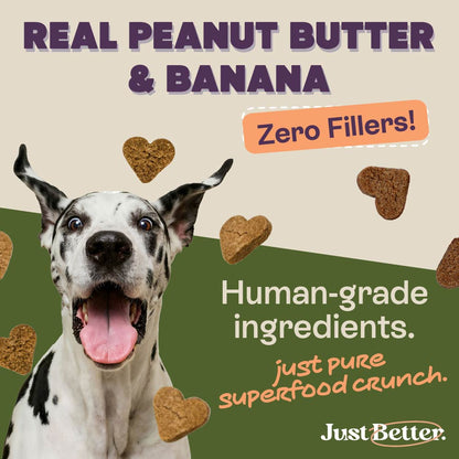 Peanut Butter & Banana Treats | Vegetarian treats for Dogs