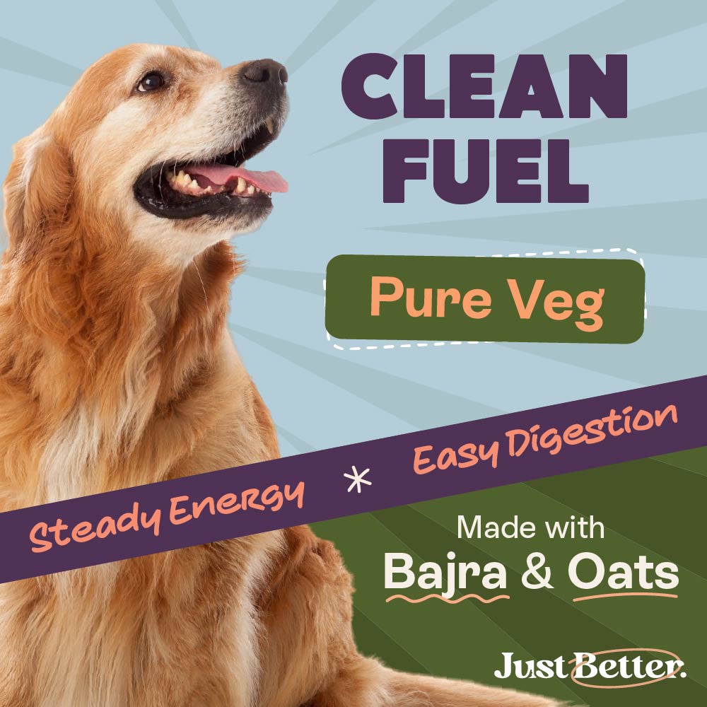 Peanut Butter & Banana Treats | Vegetarian treats for Dogs