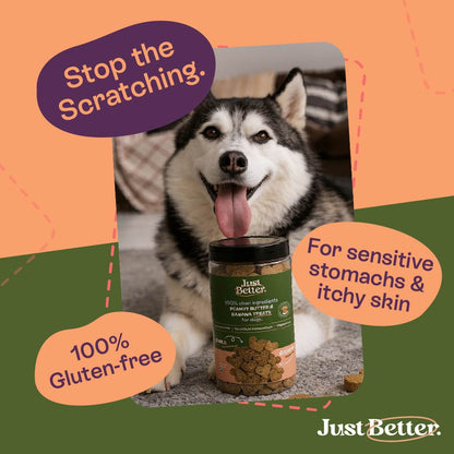 Peanut Butter & Banana Treats | Vegetarian treats for Dogs