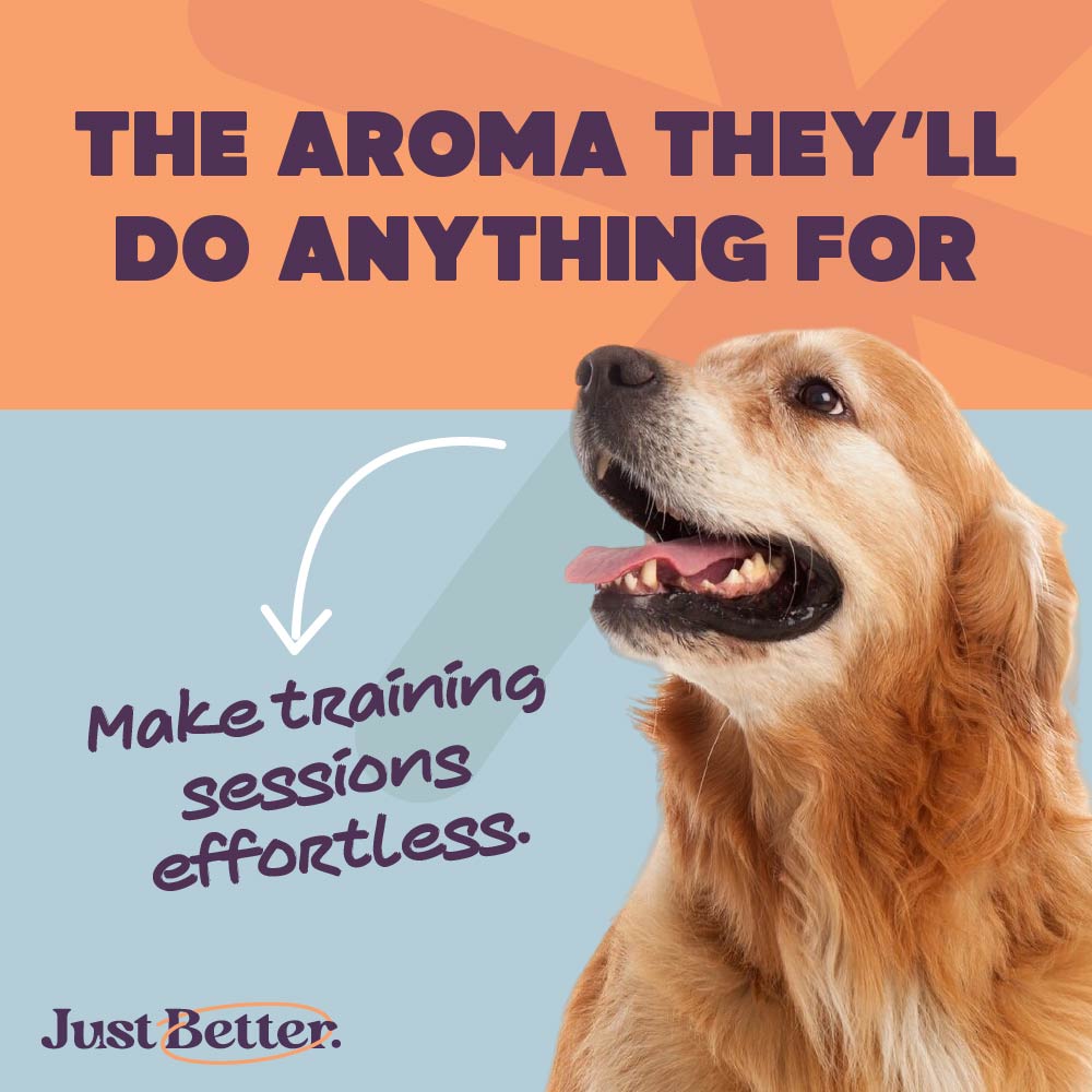 Peanut Butter & Banana Treats | Vegetarian treats for Dogs