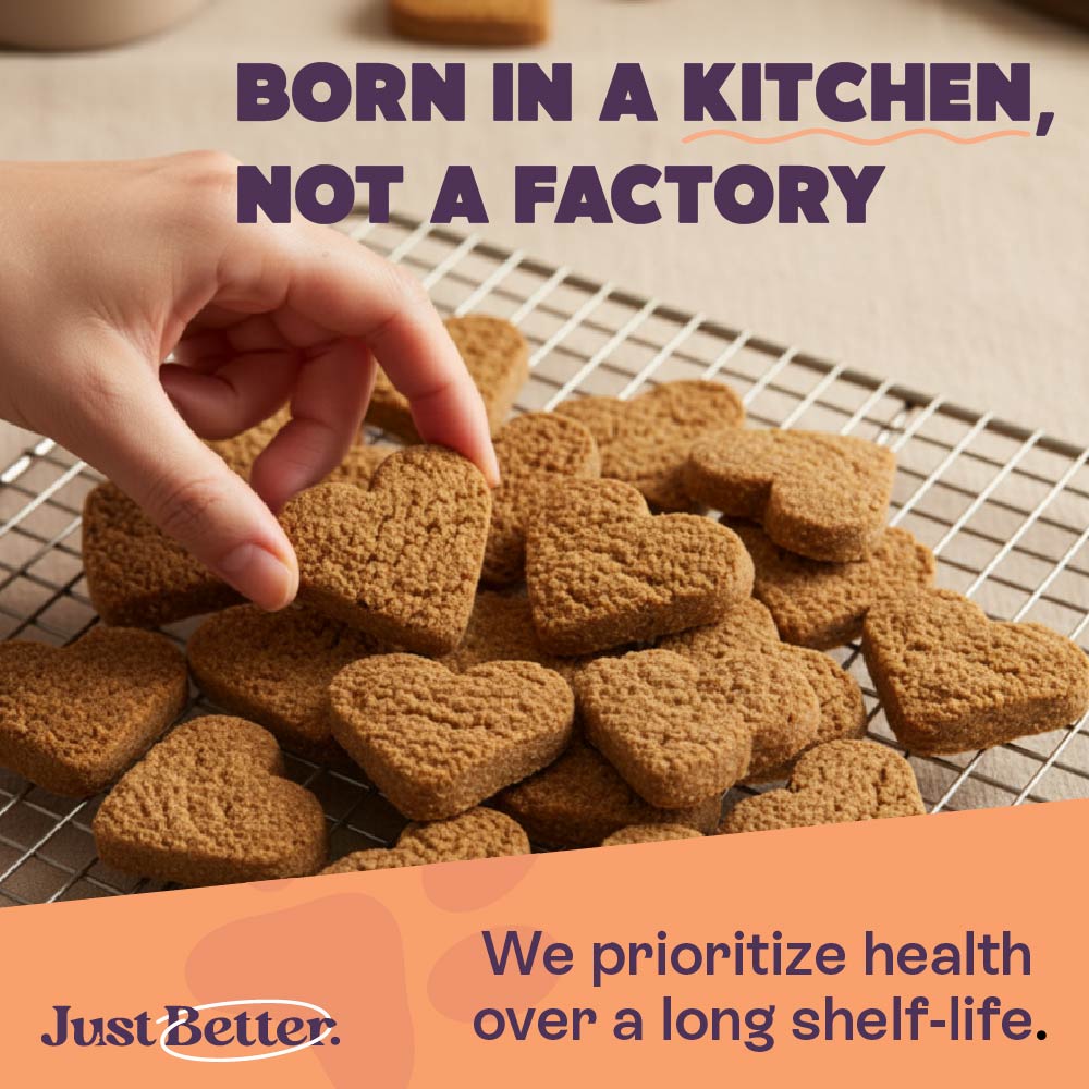 Peanut Butter & Banana Treats | Vegetarian treats for Dogs